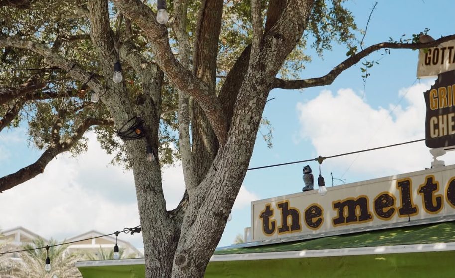 Tree with hanging string lights beside a café sign reading ‘the melt,’ under clear sky.