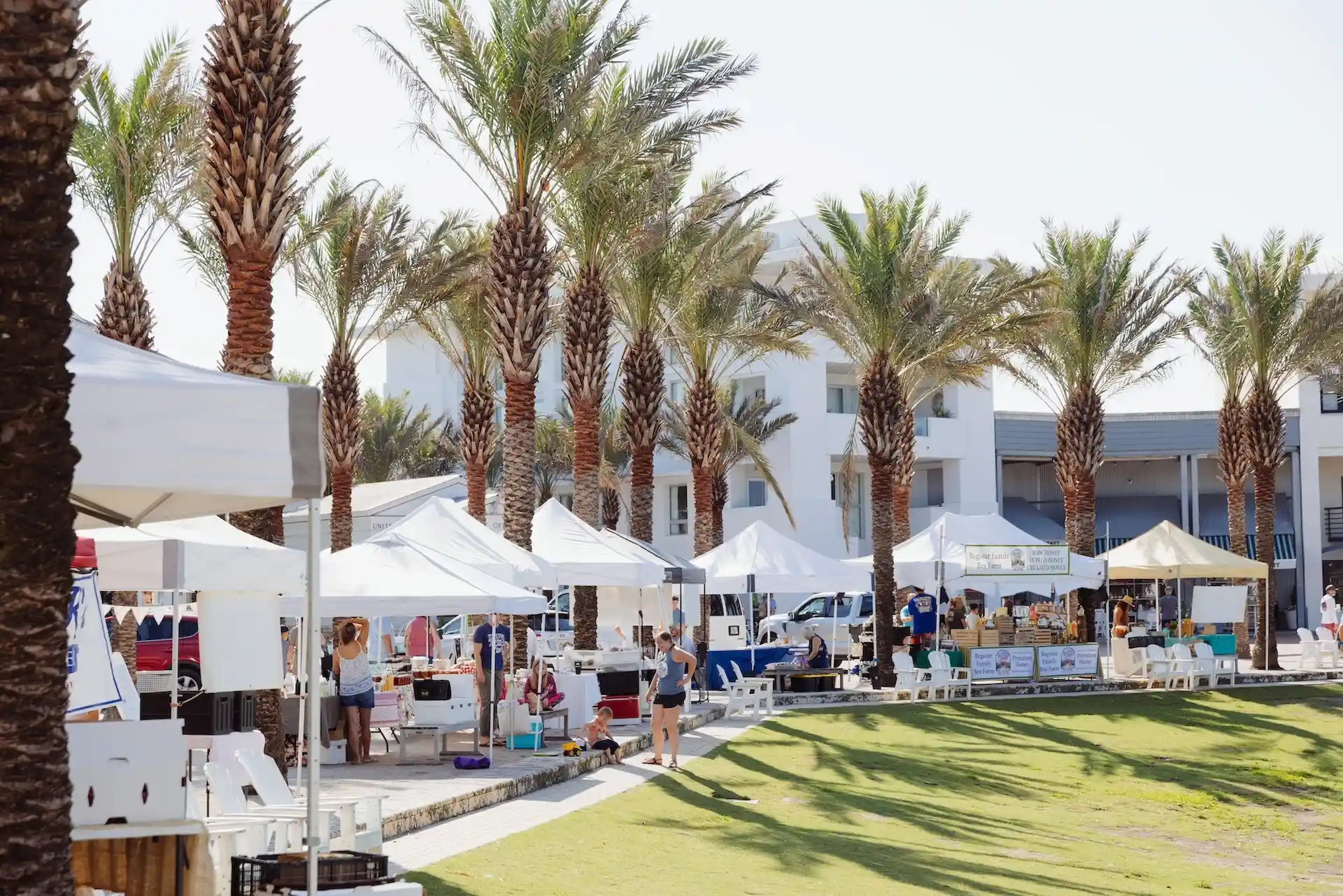 Outdoor market with white tents, palm trees, people shopping, and modern white buildings in the background.