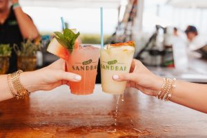 pickle's sandbar seaside florida 30a