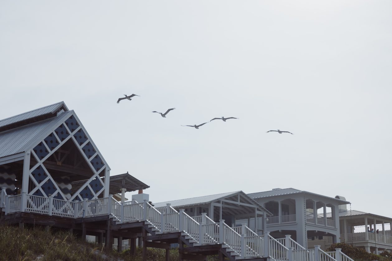 Group of pelicans flying over coastal beach houses with white railings and wooden staircases.