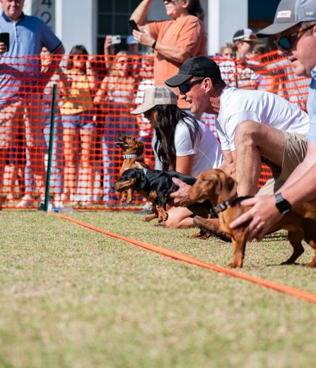 Handlers crouch beside their dachshunds behind orange fence for a dog race, crowd watches outdoors.