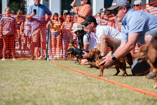 Handlers crouch beside their dachshunds behind orange fence for a dog race, crowd watches outdoors.