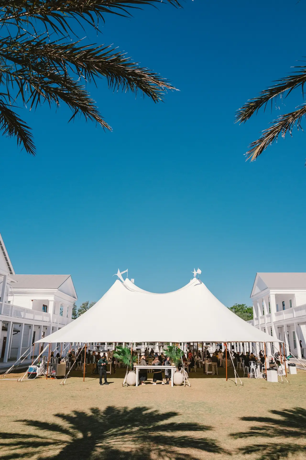 Large white event tent set between buildings, framed by palm trees under clear blue sky.